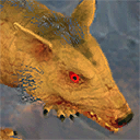 Rat.png