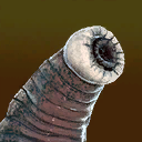 BomigB.png