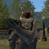 Bonewarden Dondra.png